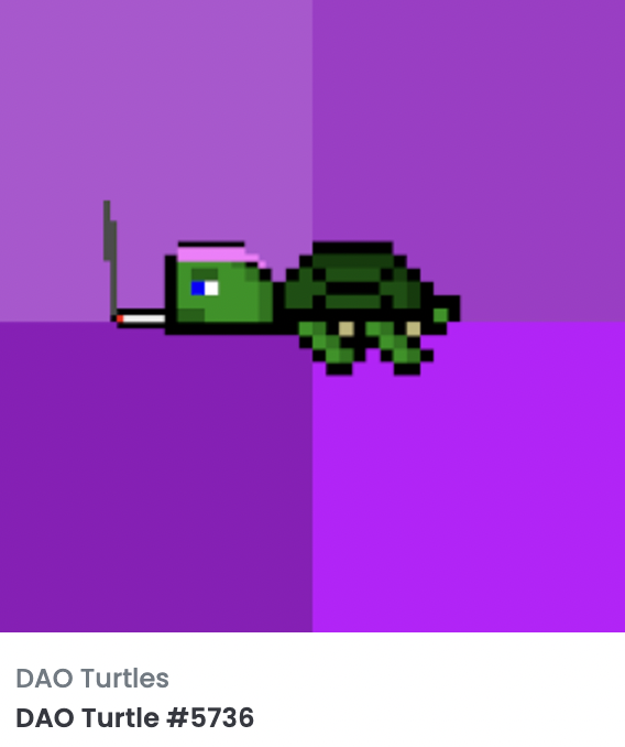WaveLength23's tweet photo. People are giving complex, eloquent reasons for why the #NFT market is currently down, but everything was going fine until our @DAO_Turtles got put in jail...
Did @opensea create a deviant timeline when they locked up our turtles?!
#FreeTheTurtles 🐢🐢 https://t.co/vRoxF8HFpv