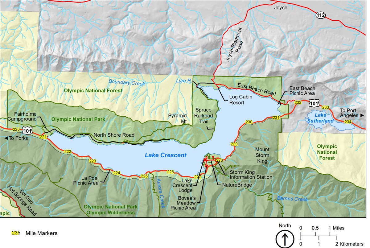 Olympic NPS tweet media