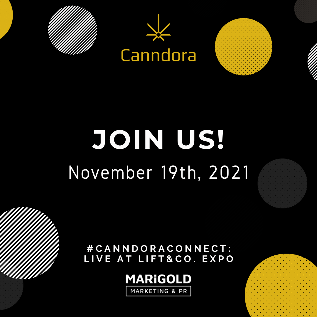 CanndoraConnect's tweet photo. #CanndoraConnect is back &amp; live!

Join us IN PERSON at the Toronto Metro Convention Centre, Nov. 19th, 2021 at 9 am EST. Secure your seat now, spots are limited!  https://t.co/goGB7f402v
@liftandco @MarigoldPR #liftandcoexpo #conference #toronto #collaborate #womeninbusiness https://t.co/UwEWZipoNE