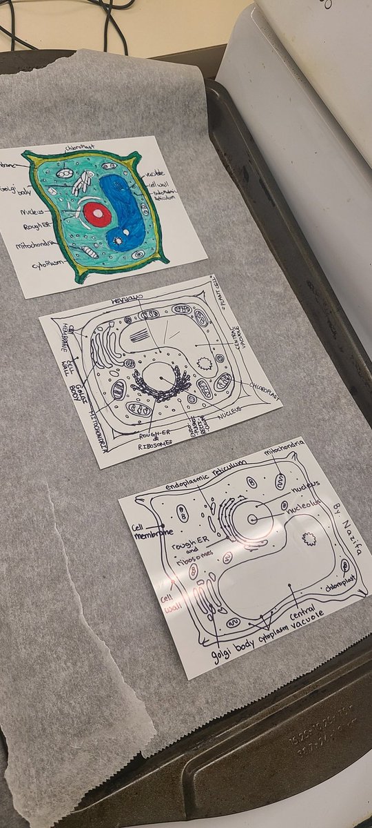 Ruby Randhawa tweet media