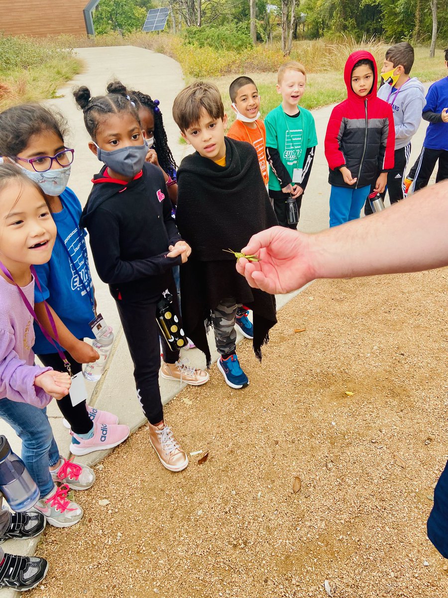 2nd Grade Mary Evans Elementary tweet media