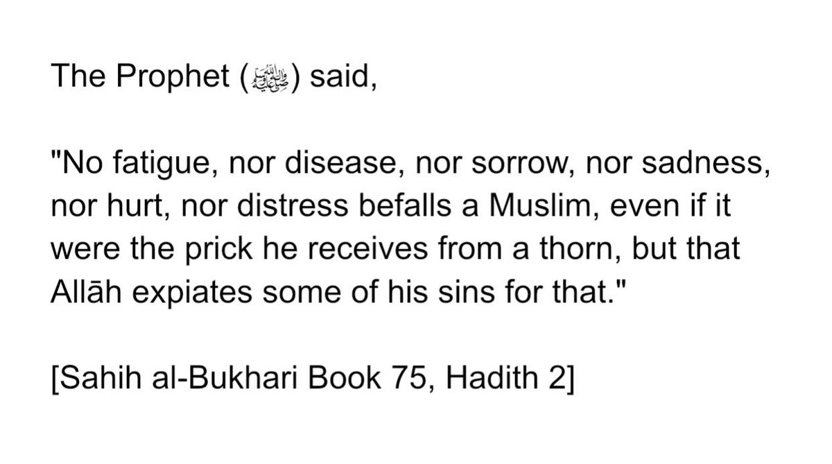 ____Muslim___'s tweet image. 