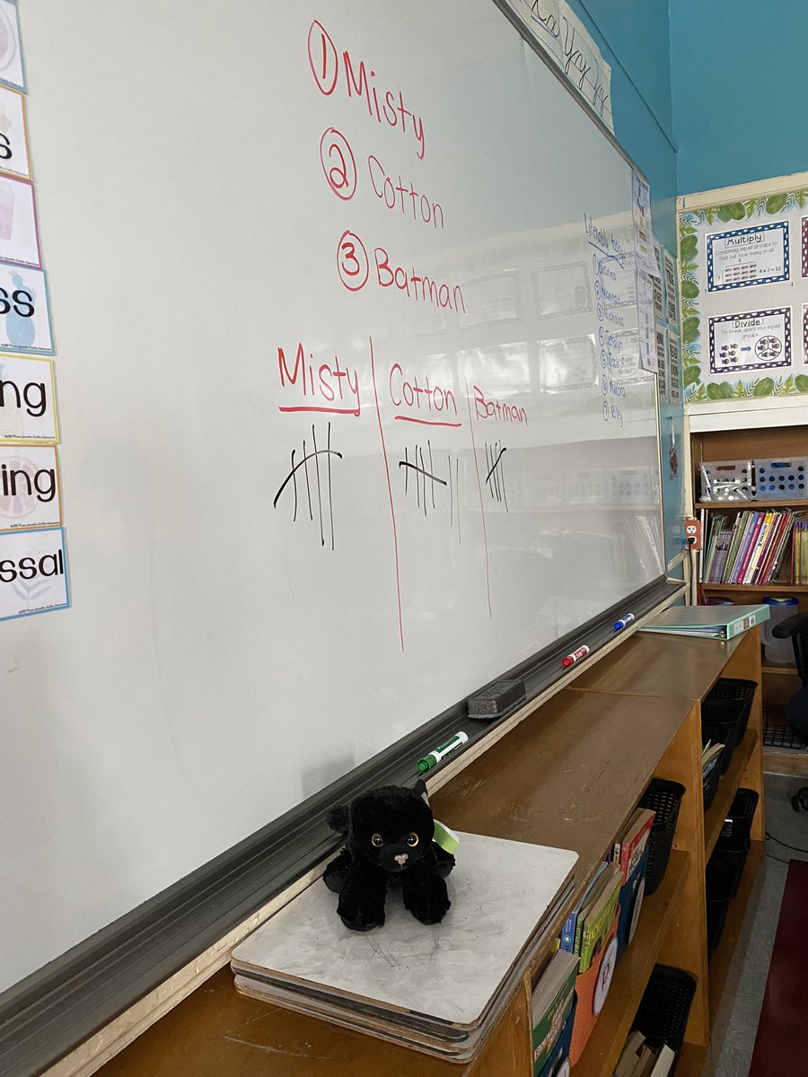 Ally Szotak Thompson, Ed.M. tweet media