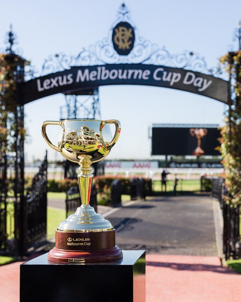 10piecesof8's tweet photo. Going to the pub to watch the Melbourne Cup this year didn’t quite feel the same as previous years. Covid restrictions or not, there wasn’t the same buzz about the ‘Race the Stops the Nation’.
Click the link below to see what we found out.

https://t.co/fJsZQhkEtA https://t.co/O4hqKidGyM