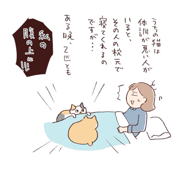 高速で個人的な近況報告します 