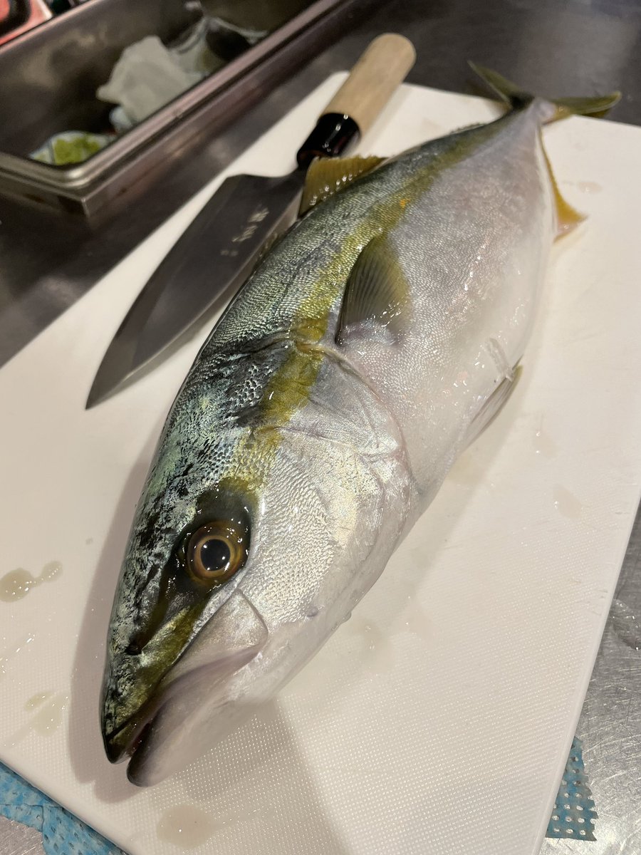 昨日は沢山のご来店ありがとうございました😊
本日のおすすめです❗️
イナダ刺し、ヒラメ刺し、生牡蠣、秋刀魚塩焼きです❗️
ご来店お待ちしてます❗️
#晩杯屋 #晩杯屋町田本店 #晩杯屋町田 #町田居酒屋 #町田食スタグラム