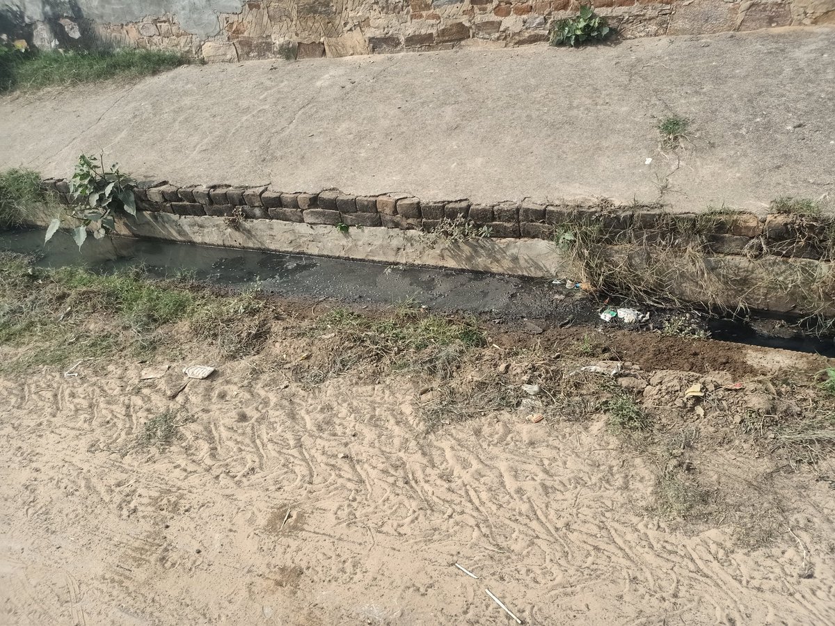 RGopalwas's tweet photo. @cmohry सर् नमस्ते मेरा गाँव गोपालवास हल्का बाढड़ा है पूरे देश मे डेंगू का कहर चल ���हा मेरे गाँव मे सफाई कर्मचारी सफाई नही कर रहे गांव का बुरा हाल है नालियां में बहुत पानी जमा है बहुत बुरी बदबू आ रही ह कृपया समाधान कर 9813208400 रवि गोपालवास https://t.co/C2aEpQQAb6