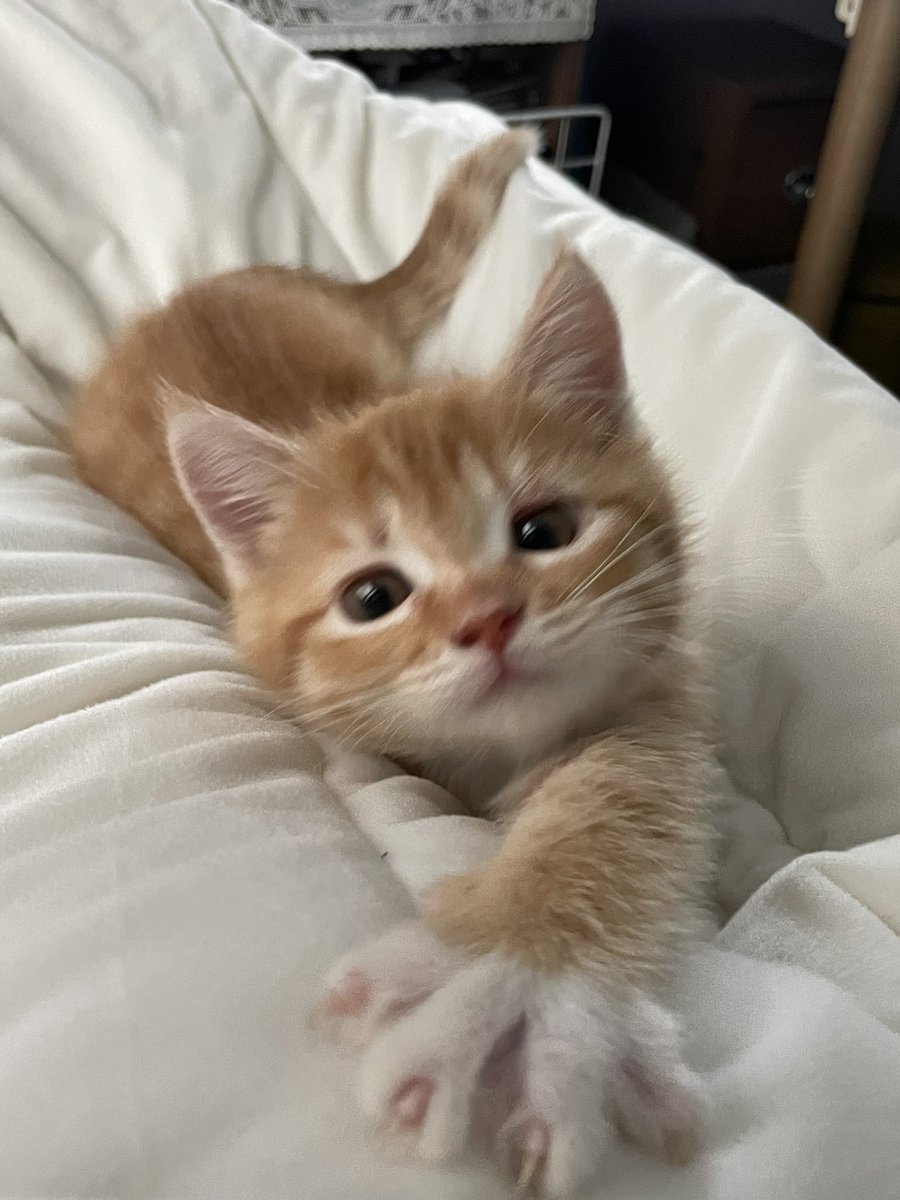 💛
