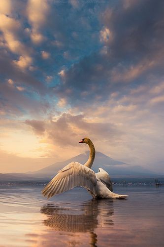 R_Ahmed32's tweet photo. Good morning friends. 
#nature #NaturePhotography https://t.co/hdYS1Q0uKN