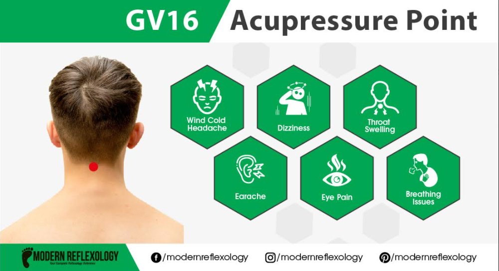 modreflexology's tweet photo. GV 16 acupressure point treats throat ache, eye pain, wind cold headache and more. 

#Modernreflexology #Acupressurepoint #Acupressure #pressurepoint #cold #headache #throatache #Health https://t.co/MNvDEwdKGL
