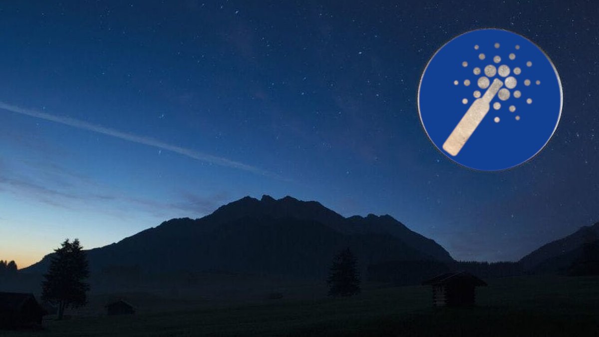 CardanoPalinka's tweet photo. We are going to the Moon! #Cardano #ADA #Palinka #Reward #BSC #BSCGem #MOONSHOT https://t.co/zl8LcF7cPB