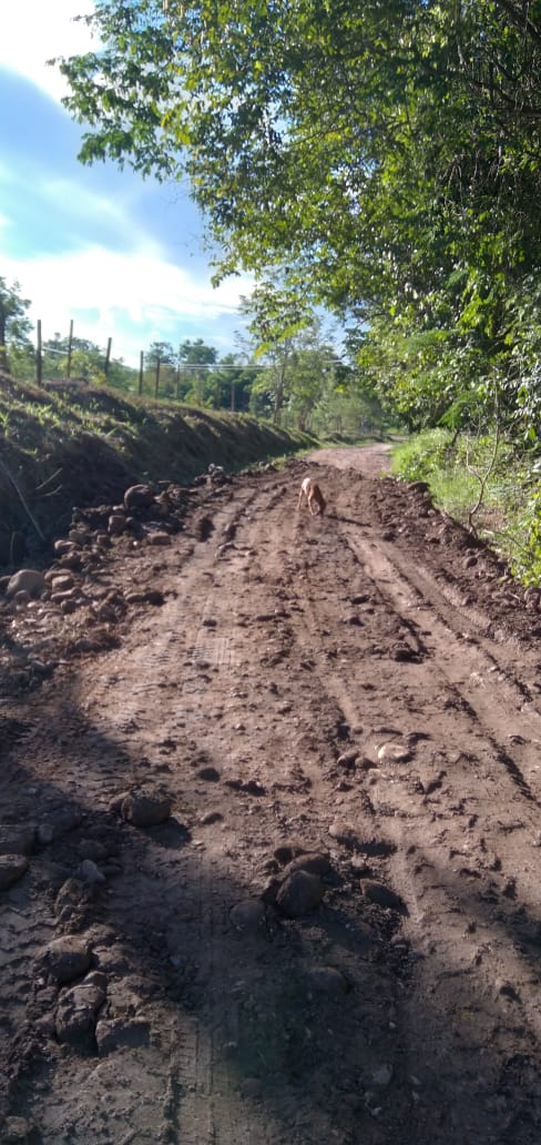 SanVicenteCh's tweet photo. APLICACIÓN de MATERIAL en la VÍA a la TRONCAL del Magdalena Medio_  #TierraBuena, por la TRANSITABILIDAD de #Albania/#LaBomba/#El32 junto a los AGROINDUSTRIALES del CAMPO aportando volquetas/nuestro gobierno MAQUINARIA AMARILLA. #SanVicenteVíasConFuturo. #OscarRodríguezAlcalde. https://t.co/vWz9zO5MXn