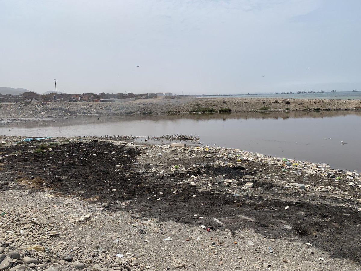 FabiolaMunozD's tweet photo. El tecnopor no se recicla y termina en el mar, solo incrementa la contaminación y la afectación a la biodiversidad. ⁦@congresoperu⁩ no retrocedan! ⁦⁦@NanoGuerra4⁩ realmente estás defendiendo que se retrase por 2 años una norma tan importante? https://t.co/tC2iP3oki4