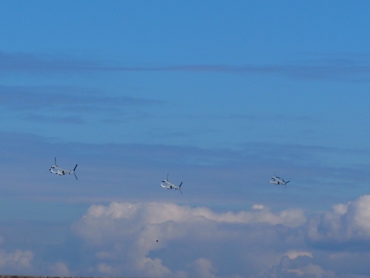 ivory_71_US_2's tweet photo. 11.3 MCAS IWAKUNI
MV-22B オスプレイ HMM-265 ドラゴンズ
#岩国基地
#普天間基地
#海兵隊
#mv22b
#オスプレイ
#hmm265 https://t.co/QDqujZnMsX