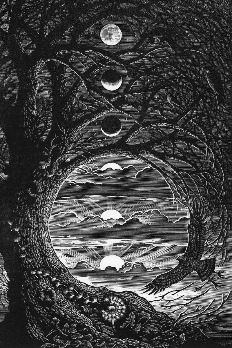 “In all chaos there is a cosmos, in all disorder a secret order.” Carl Jung