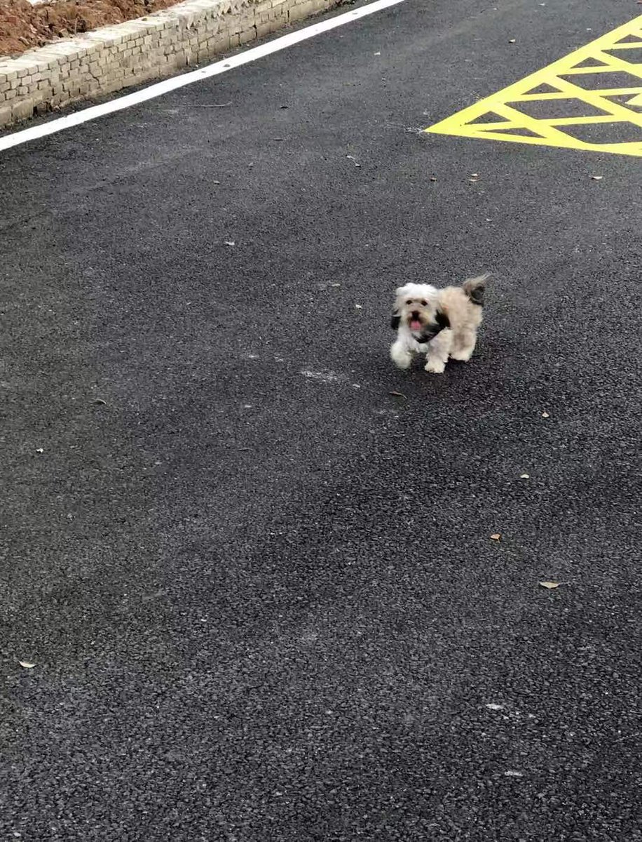 iimememe_'s tweet image. 