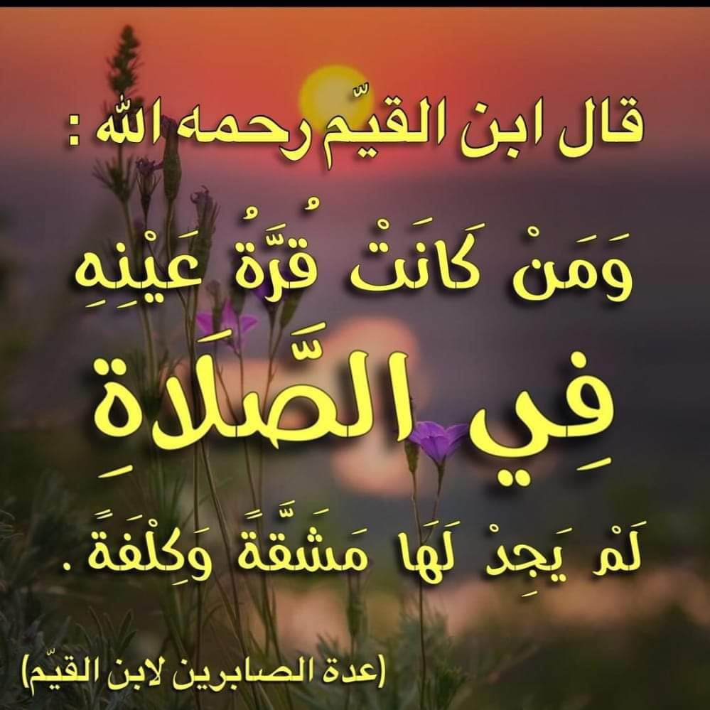 alameeri2018's tweet photo. https://t.co/TyWg14XjzS