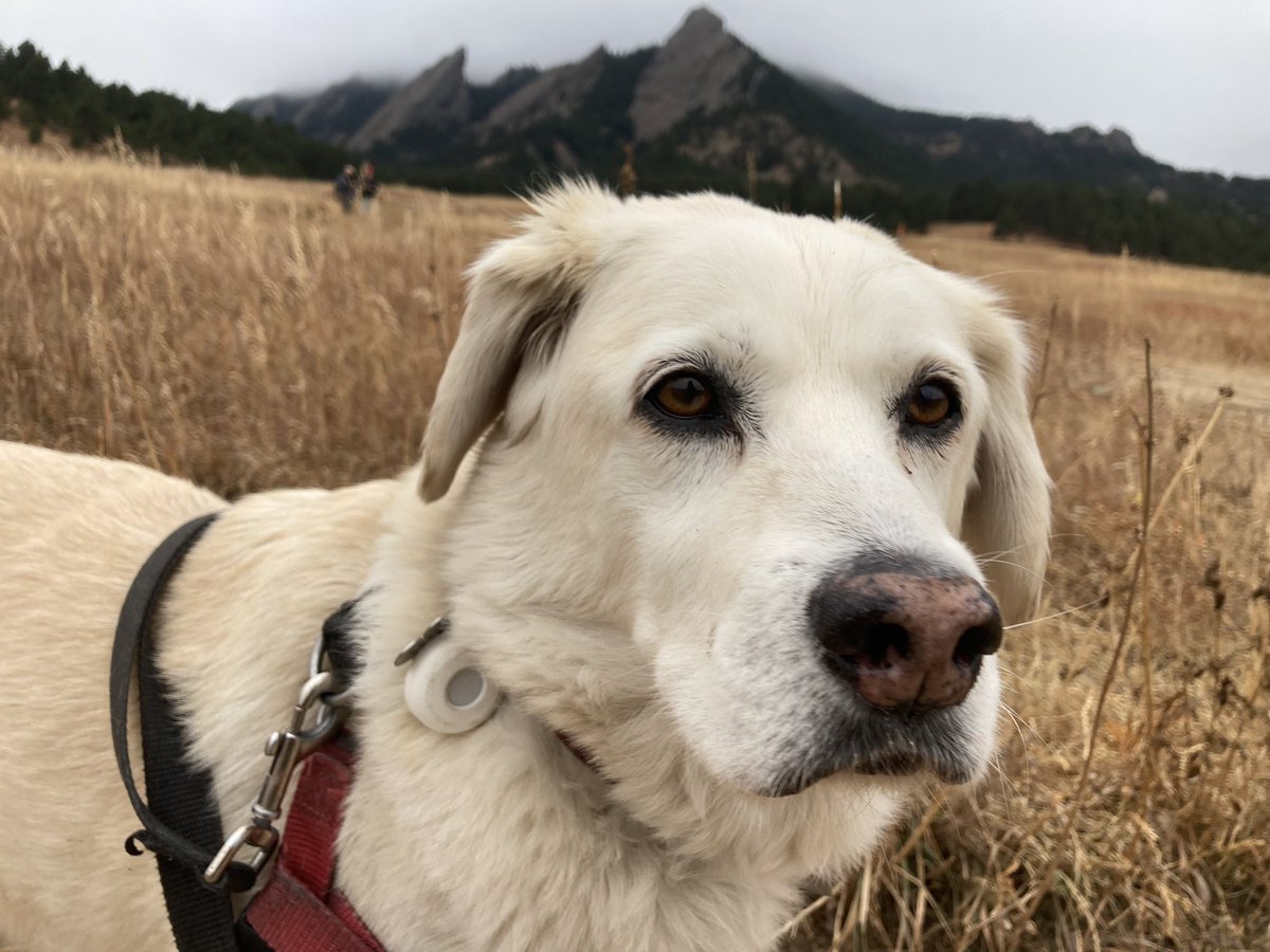 BrodyGraduate's tweet photo. From Green Mountain to Chautauqua to Boulder Valley Ranch, my #freshair monitor and I traveled in style this week. Now it’s headed to @YaleSPH for review - can’t wait to see the results! https://t.co/f6oylwginN
