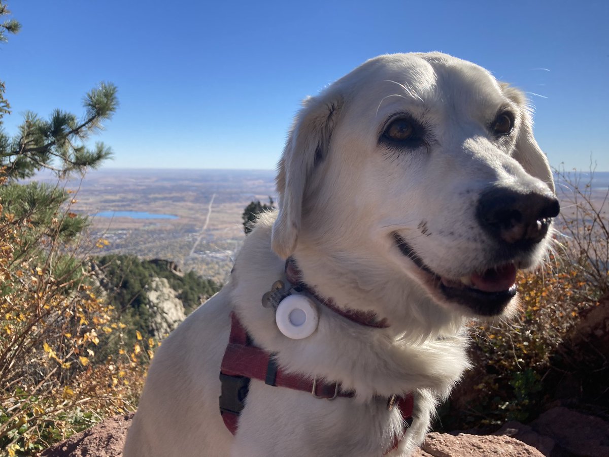 BrodyGraduate's tweet photo. From Green Mountain to Chautauqua to Boulder Valley Ranch, my #freshair monitor and I traveled in style this week. Now it’s headed to @YaleSPH for review - can’t wait to see the results! https://t.co/f6oylwginN