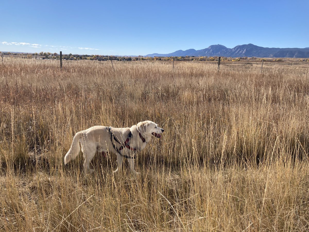 BrodyGraduate's tweet photo. From Green Mountain to Chautauqua to Boulder Valley Ranch, my #freshair monitor and I traveled in style this week. Now it’s headed to @YaleSPH for review - can’t wait to see the results! https://t.co/f6oylwginN