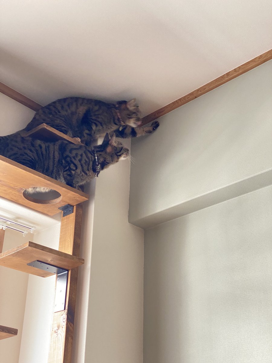 虫を見つけて大興奮