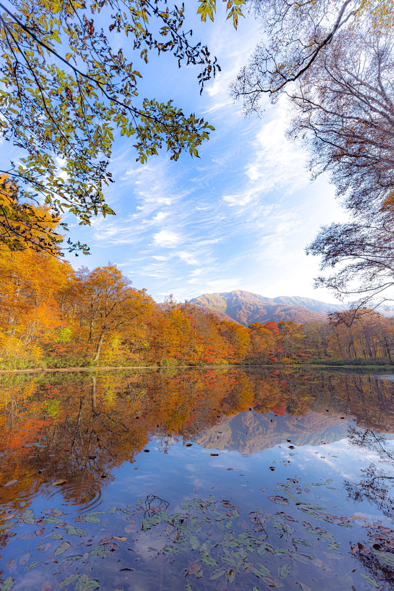 Takechan86 刈込池 紅葉 リフレクション 登山 水鏡 絶景 福井県 紅葉スポット 紅葉狩り もみじ 11月2日 T Co Tkb0h2v2yd Twitter