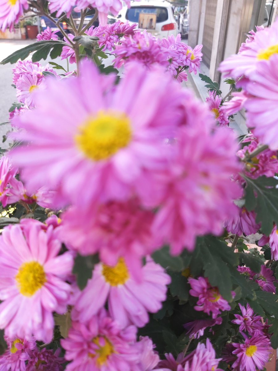 정경순 (@pc5uafp45g03clv) on Twitter photo 