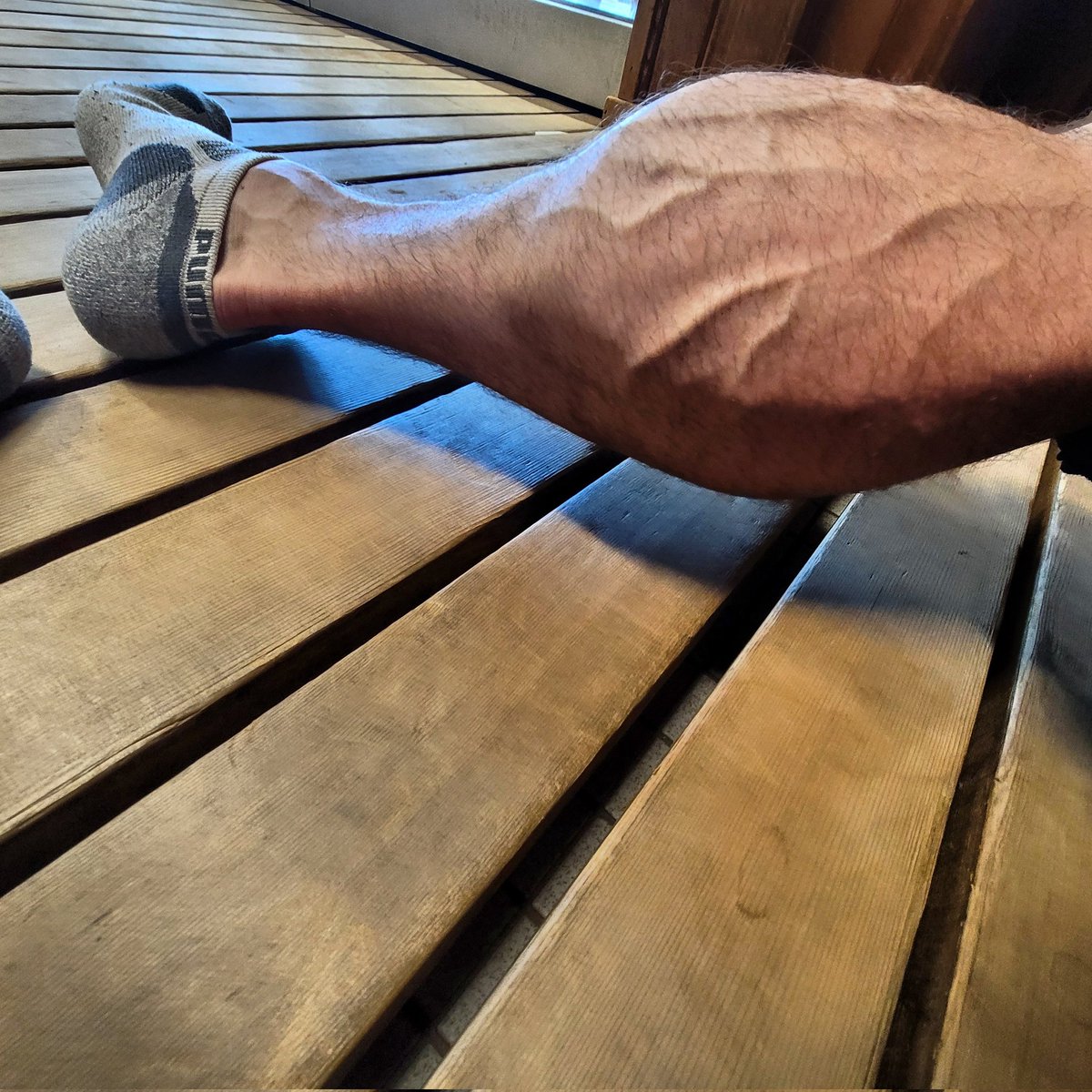 TommyCalves tweet picture