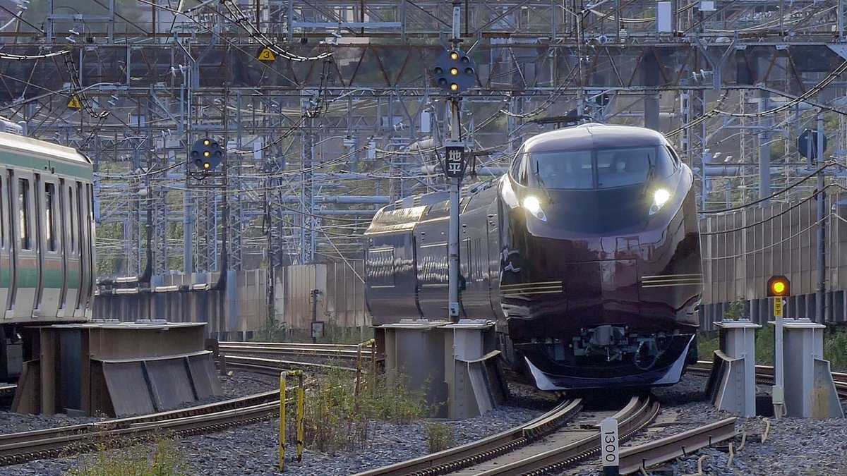 AAG_Railroad's tweet photo. 今朝の上野発　団体臨時列車 #E655系 和（なごみ）です。
西日暮里駅付近を通過中 0805頃

#鉄道ファンと繋がりたい #鉄道のある風景 #鉄道風景 #鉄道写真 #鉄道ファン

#railway #traingram #railfan #traingallery_ig
#train_vision #trainphotograph #railways_of_our_world #ra https://t.co/tv0dSlG1Pn