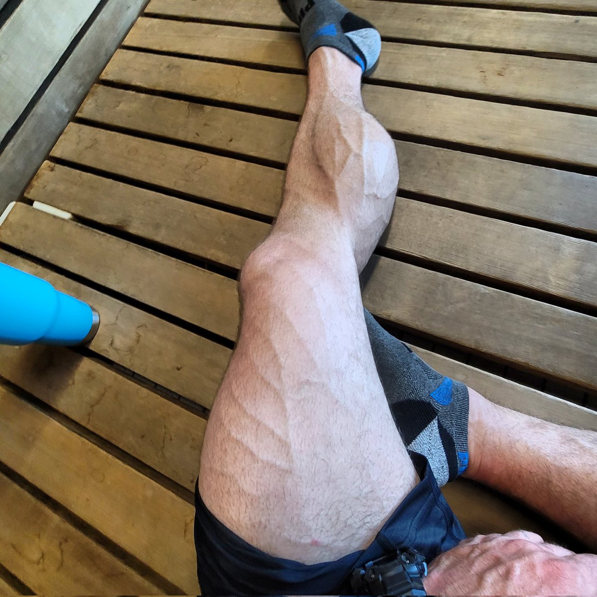 TommyCalves tweet picture