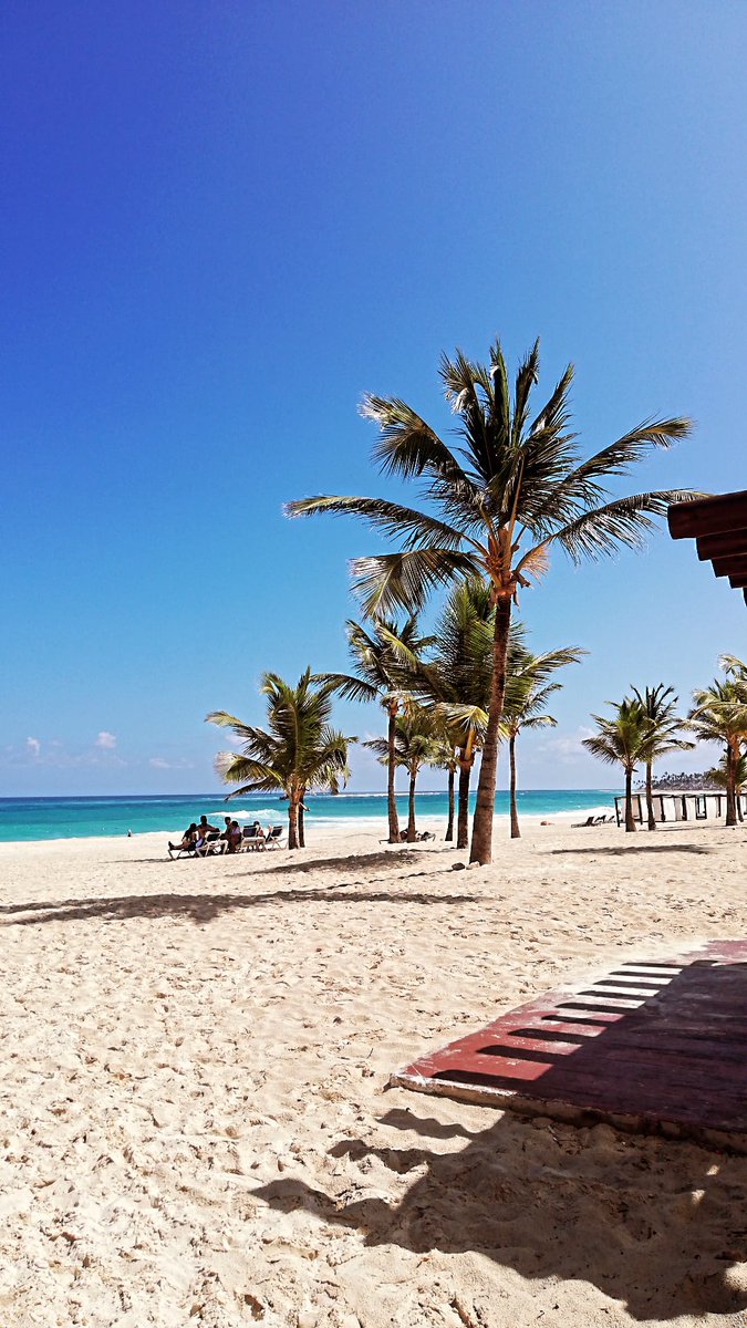 David_tts's tweet photo. Algo me mata de ti, yo no se.... 🇩🇴RD🇩🇴 https://t.co/mpxRMAgX9s