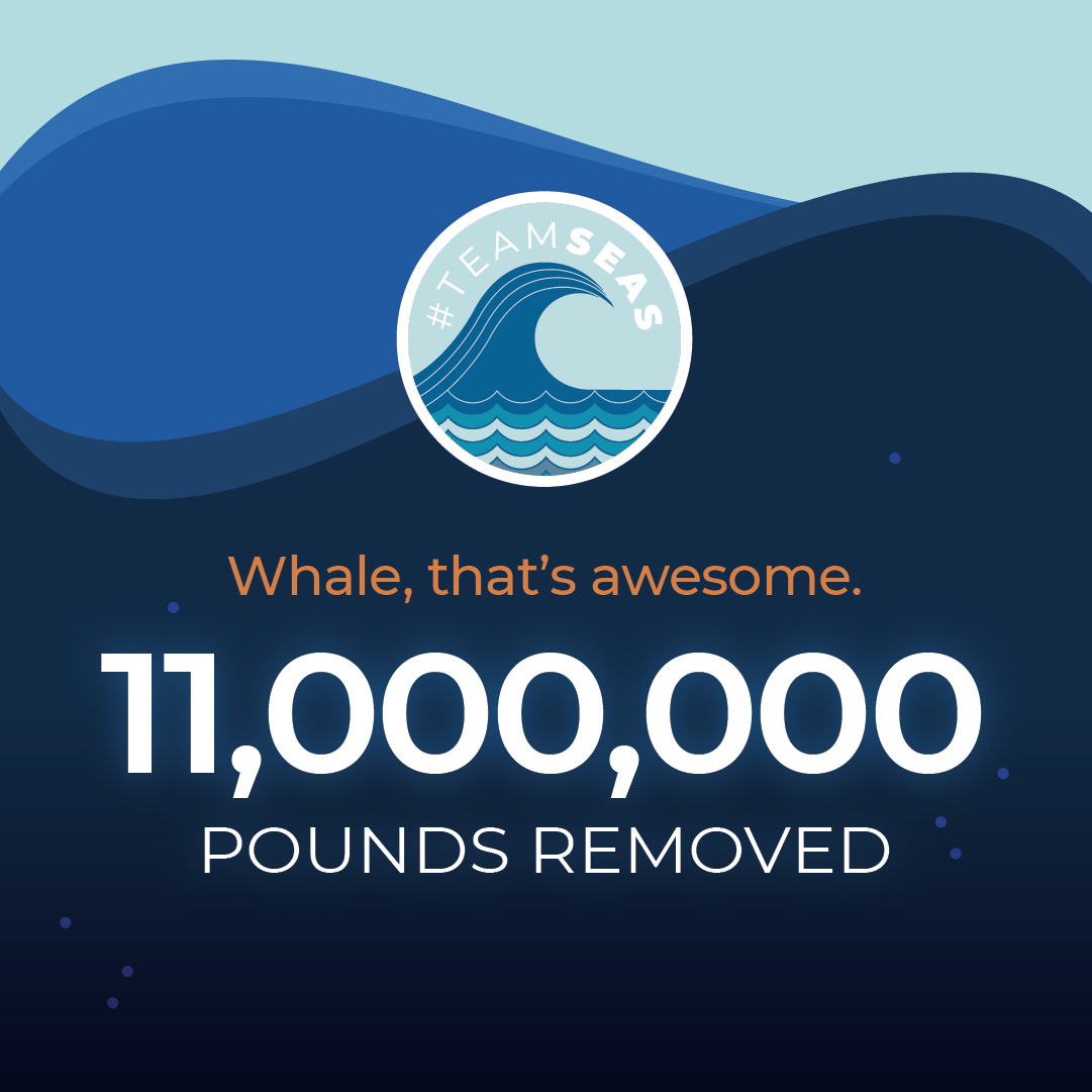 Whale would you look at that? Anotha' one (million that is). #TeamSeas