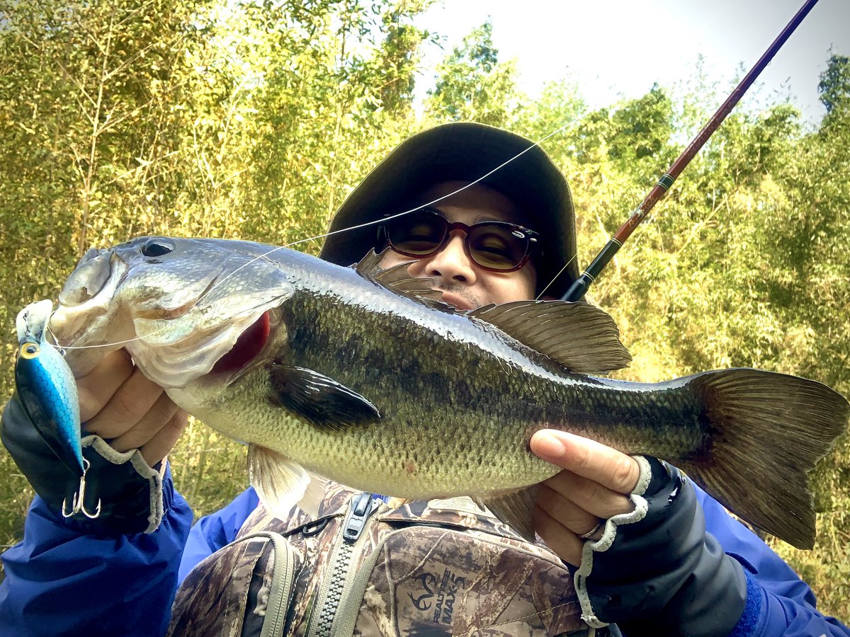 fishandbros's tweet photo. 幻のマグナムヘッドプラグをキバリまくって入手。噂通りオリジナルサイズより浮力が高く非常に優秀なトッププラグ。いきなり入魂&ファッツオーでナイスフィッシュいただき!楽しいバスフィッシングに敬意を抱く、ハッピー文化の日❤️ #fenwick #abu25c #heddon #thinfin https://t.co/Mx0TptjMxq