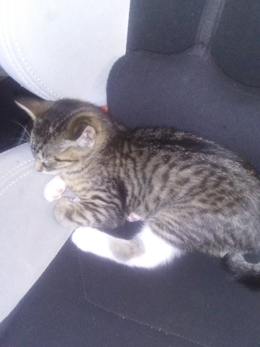 smackies tweet media