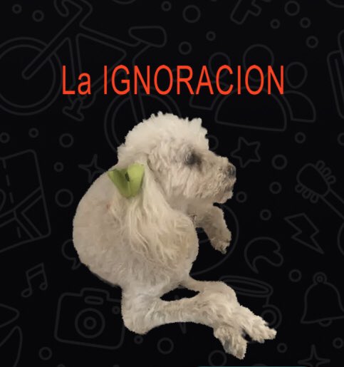 I’am very indignado.😡Algún día voyaprender 🙏Cuando me necesitenLes haré la..