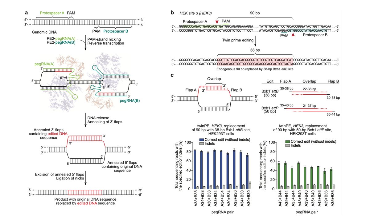David R. Liu tweet media