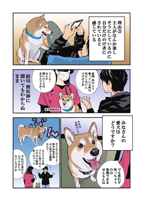 漫画 深夜に飼い主が笑ってると 犬のナゾ反応 に うちも 犬飼いさんから共感の声が殺到 爆笑してると寄って来る まいどなニュース