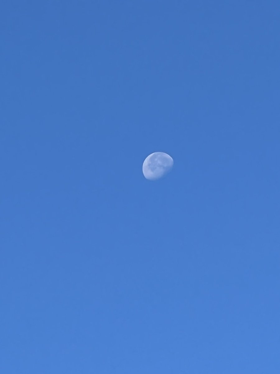 ProfSaint's tweet photo. iPhone 13 Pro Max. Hand held. #iphone13photos #moonshots https://t.co/d16tFH8sXb