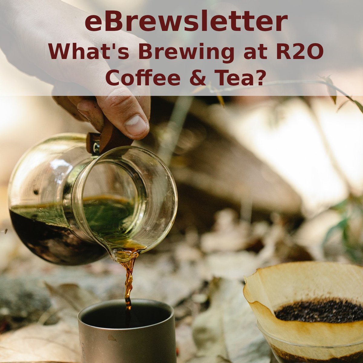 Latest R2O eNewsletter out just after 5 pm today, now called the eBrewsletter!  LOL!!!  Thanks Dag Juhlin!  Check email filters, be sure to white list R2O in email!