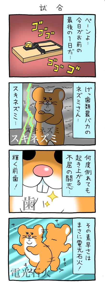 格闘技の煽りビデオ風。8コマ漫画スキネズミ「試合」
https://t.co/4MKGdzE44c

単行本「スキネズミ1」発売中!→ https://t.co/Nrh27X435s

#スキネズミ #キューライス 