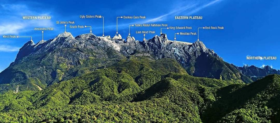 twthiking's tweet photo. Pada yang belum kenal nama2 puncak gunung https://t.co/qwgkgmSdw8 antara nama2 puncak yang jarang kita tau.Tiada dalam senarai adalah low's peak dan victoria peak, kerana ia berada di utara dan tidak kelihatan dari sudut gambar ini.

📸Refflisia Putih Beautiful Mount Kinabalu https://t.co/lce7cxWQQu