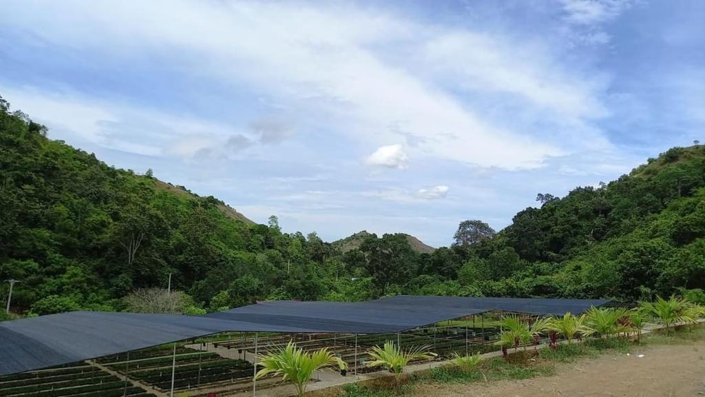 Bpdashlka's tweet photo. Hi Green Generation! Peu Haba #sobathijau?
Do you know, kalau BPDASHL Krueng Aceh punya Persemaian Permanen?
Nah bagi teman-teman yang mau tanam-menanam boleh nih ajukan permohonan dengan syarat dan ketentuan yang berlaku. https://t.co/WovANcgR3q