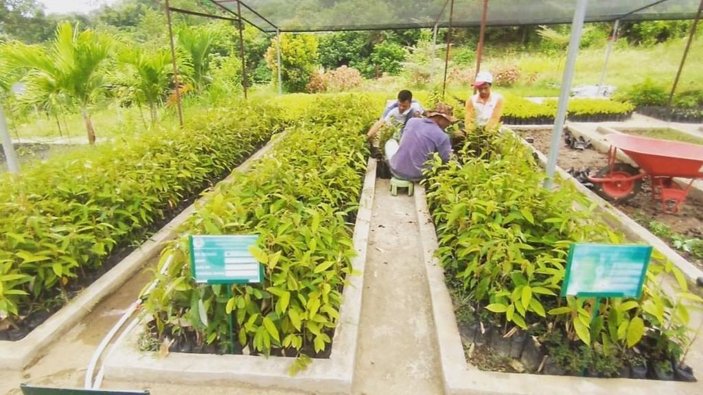 Bpdashlka's tweet photo. Hi Green Generation! Peu Haba #sobathijau?
Do you know, kalau BPDASHL Krueng Aceh punya Persemaian Permanen?
Nah bagi teman-teman yang mau tanam-menanam boleh nih ajukan permohonan dengan syarat dan ketentuan yang berlaku. https://t.co/WovANcgR3q