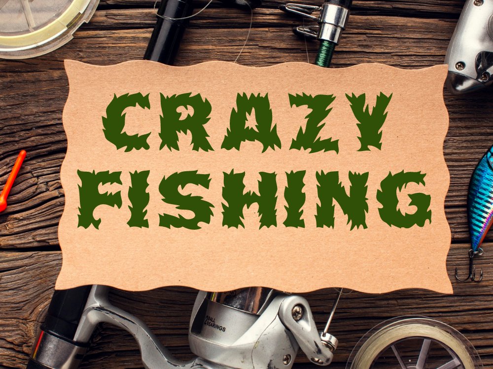 Fishing Crypto tweet media