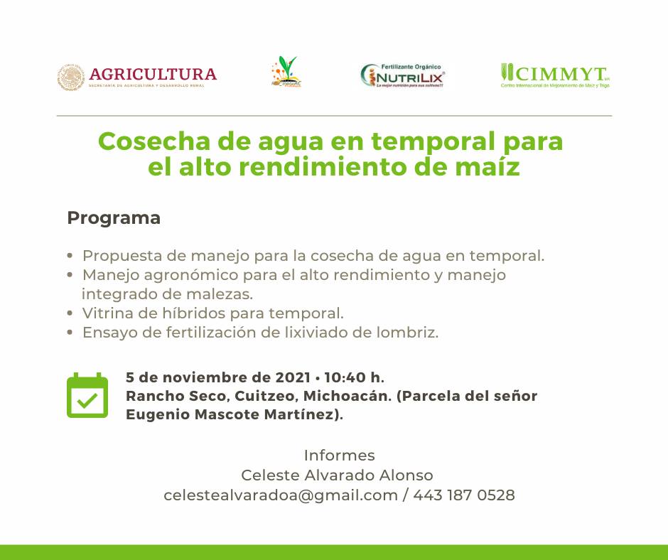 🌽 Conoce más sobre la cosecha de agua para la producción de maíz en temporal. Te esperamos en Cuitzeo, #Michoacán.

🗓️ 5 de noviembre de 2021.
🕥 10:40 horas.
🗣️ Informes: celestealvaradoa@gmail.com / 443 187 0528

<a href="/Agricultura_mex/">Secretaría de Agricultura y Desarrollo Rural</a> 
<a href="/RInnovac/">Red_InnovAC</a> 
#Nutrilix
<a href="/HubBajio/">Hub Bajío</a>