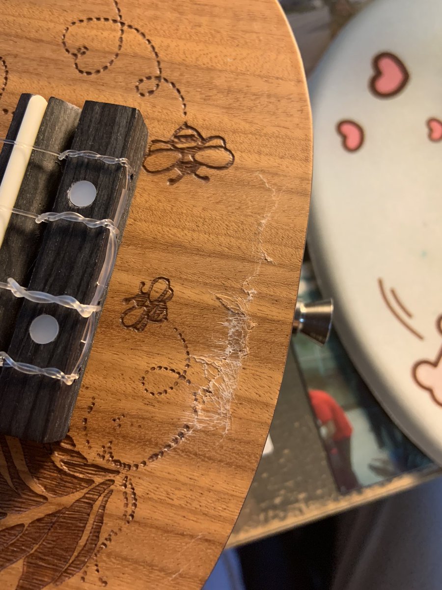 MalaxIts's tweet photo. @tubbo so my ukulele came a bit damaged… https://t.co/m72pMvozBy