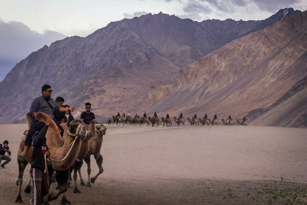 Ladakh travels #36

Tripping with @ladakhphototours 

 #lostintheworldofphotogtaphy #leh #ladakh #raw_culture #travelandlife #landscapephotography #travelphotography #sandunes #camelride #nubravalley #rural_love #canonphotography #outlooktraveller #cnntravel #magasin_no #jus…