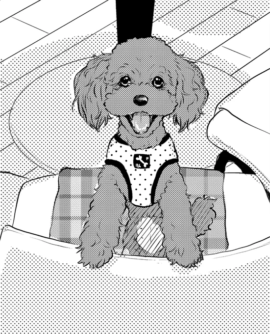 そういえば犬をベタで塗ったのリコシェだけですよね。
リアルの黒い子めちゃ可愛いんだけどベタで塗ってしまうと表情がわかりにくくなったりするので漫画ではどうしてもトーンになってしまいます💦 https://t.co/zlkrIGSgsq 