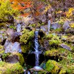 ツイートに含まれる画像