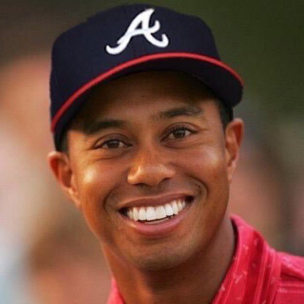 PardonMyTake's tweet photo. THE ATLANTA BRAVES ARE THE 2021 WORLD SERIES CHAMPIONS https://t.co/DI67bqKUge